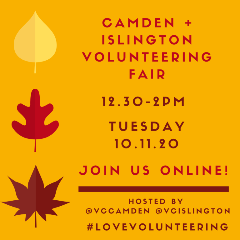 Camden & Islington Online Volunteering Fair