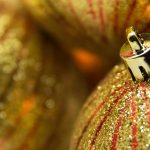 A closeup of gold and red striped glittery ball ornaments