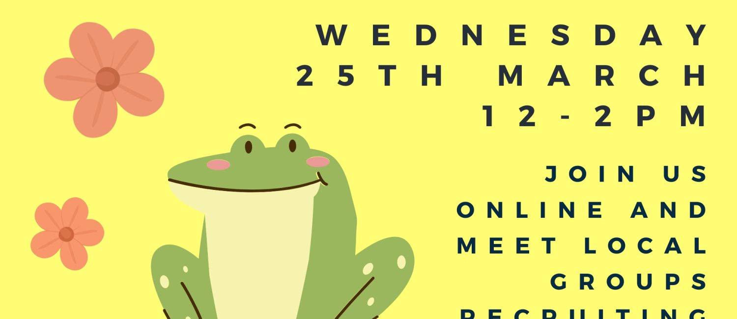 A happy green frog sitting with a few pink flowers on a vibrant light yellow background